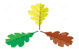 男女情绪和思维差异在哪里？