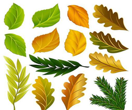 男女情绪和思维差异在哪里？