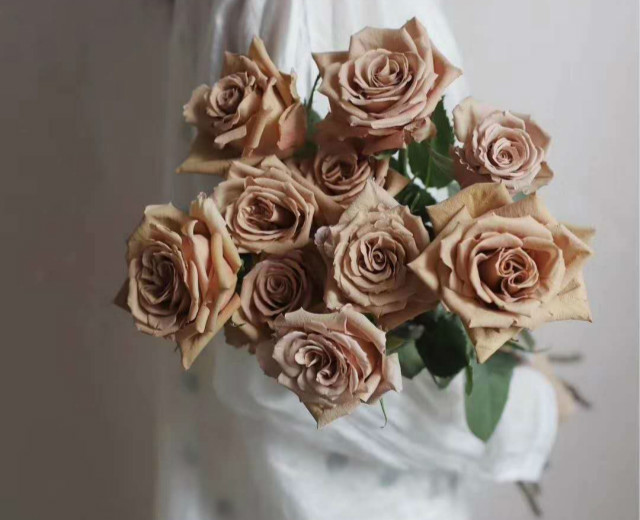 用生命分享生命，谢谢你的美好！